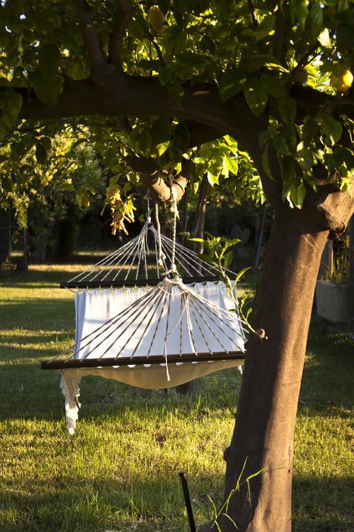 Agriturismo Terrenia Villa Trappitello Kültér fotó