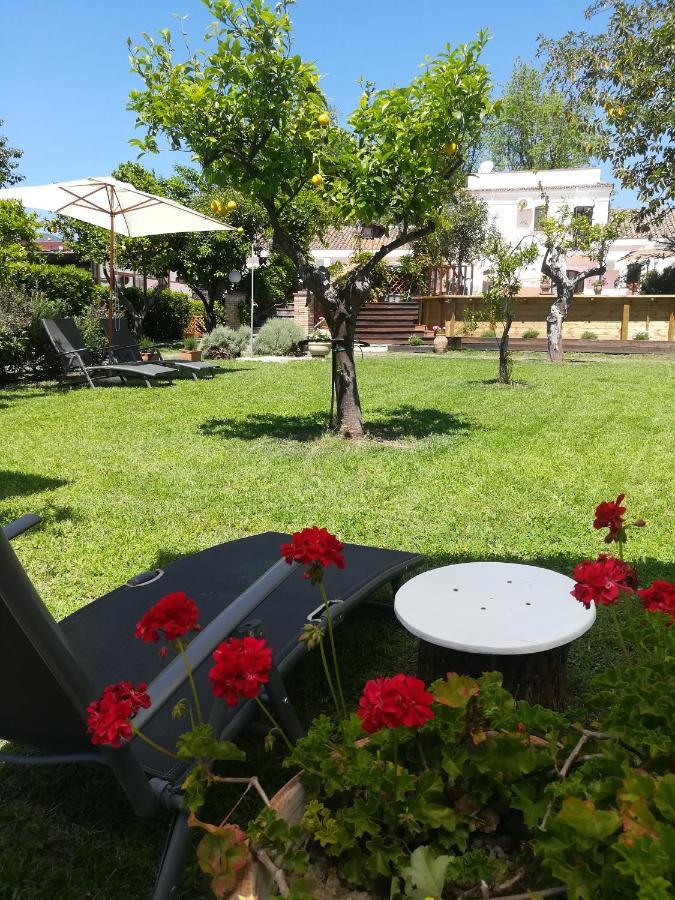 Agriturismo Terrenia Villa Trappitello Kültér fotó
